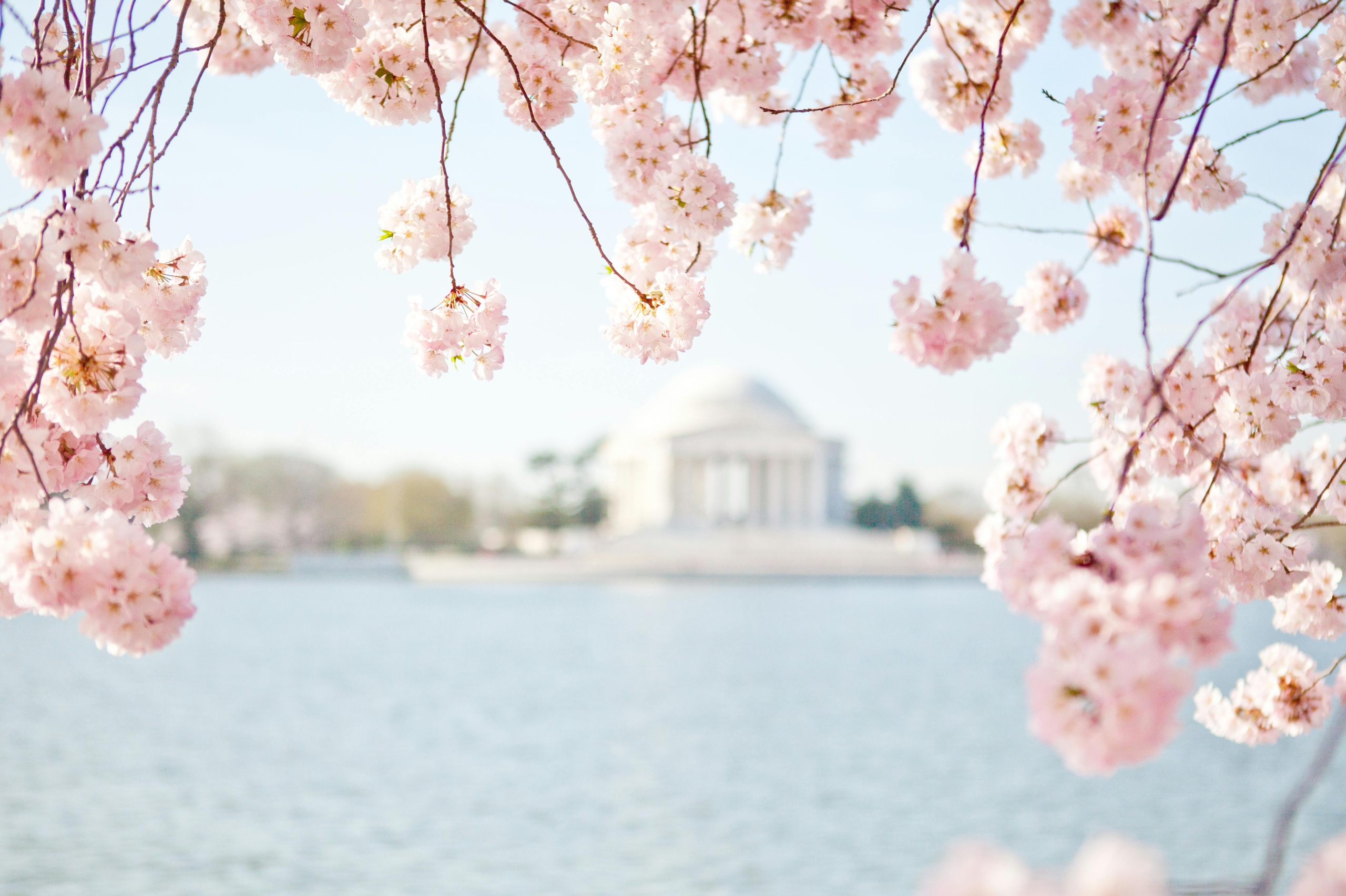 Tidal Basin & Jefferson Memorial